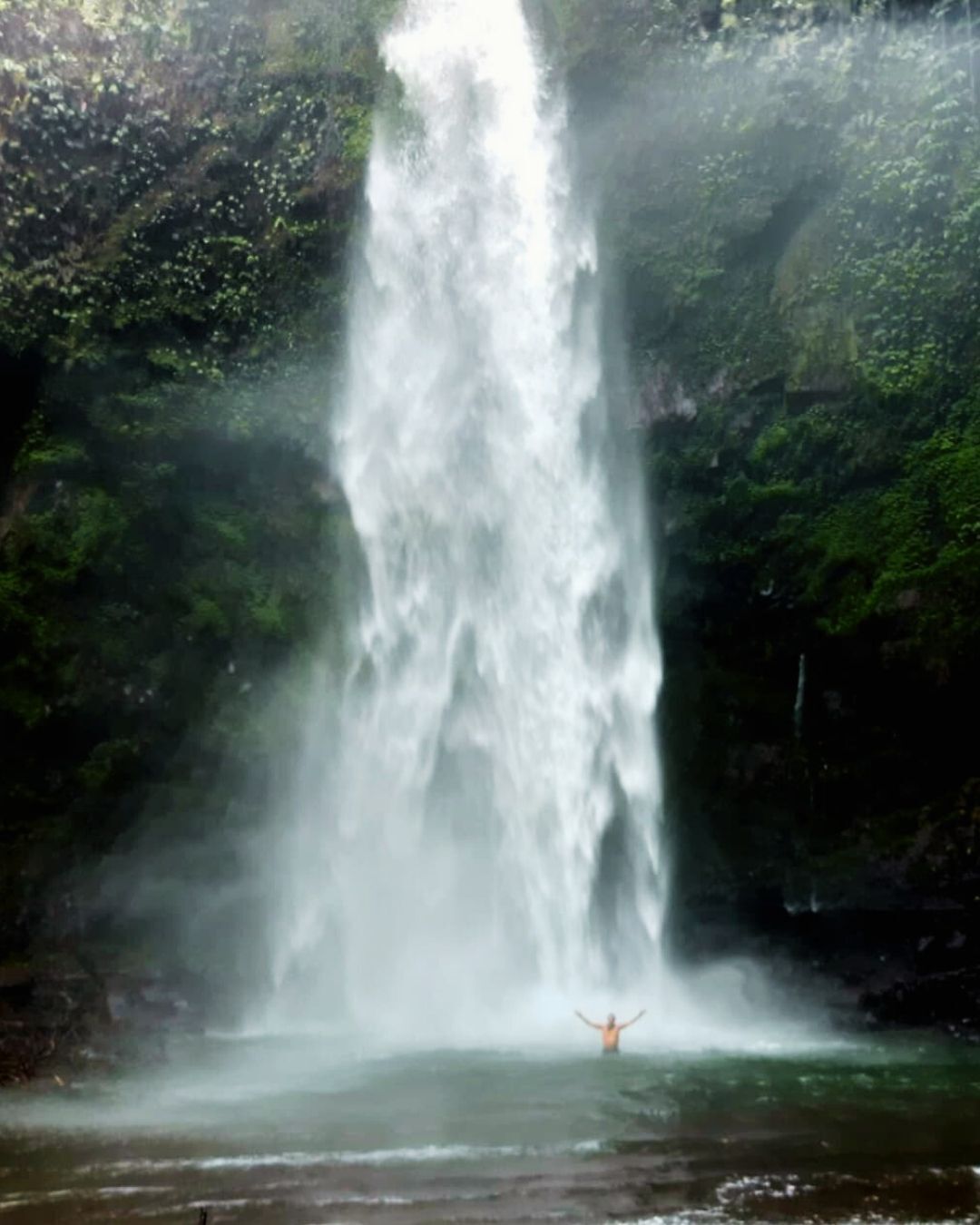 Waterfall in the jungle